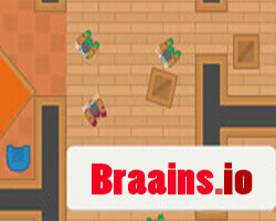 braains.io