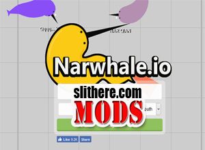 Narwhale.io Mods